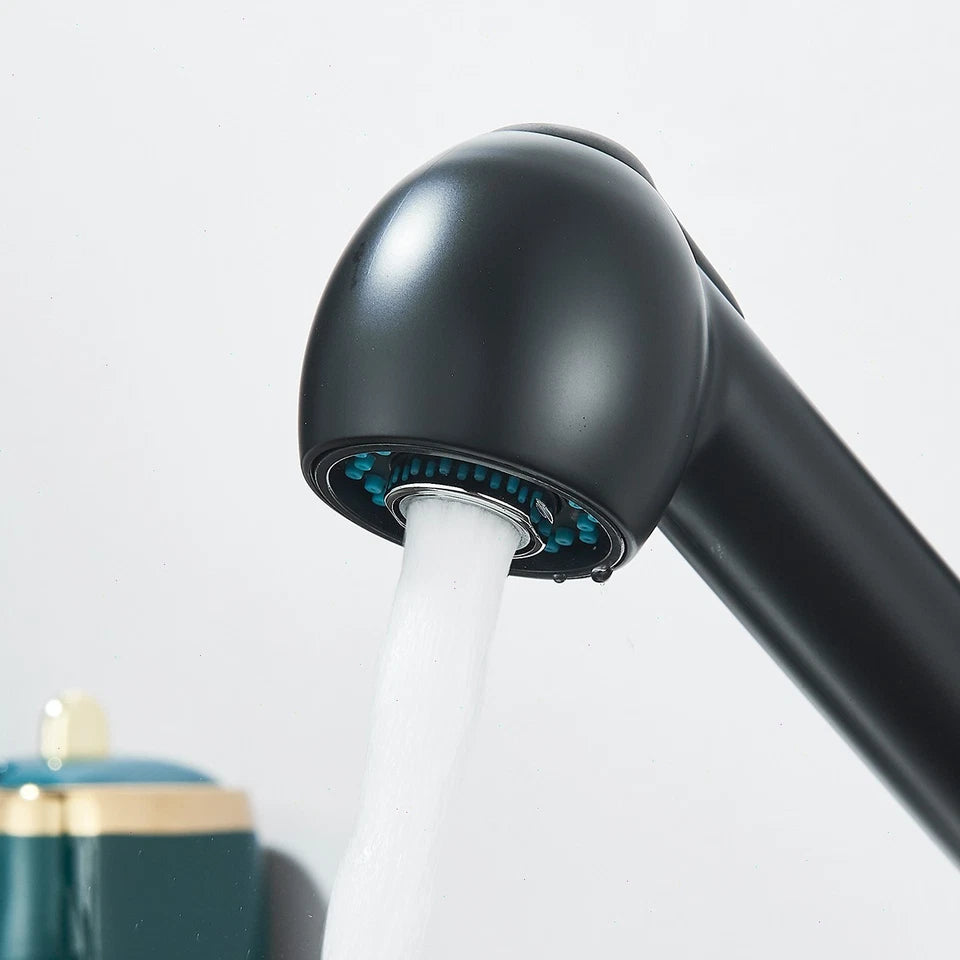 360° Kitchen Mixer Tap Pull Out Spout Spray Mono Sink Single Lever Modern Black