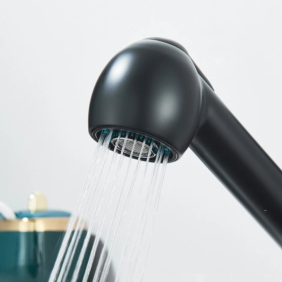 360° Kitchen Mixer Tap Pull Out Spout Spray Mono Sink Single Lever Modern Black